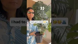 Thumbnail: Monstera needed a friend 🤣 #monstera #indoorplants #melbournevlogger