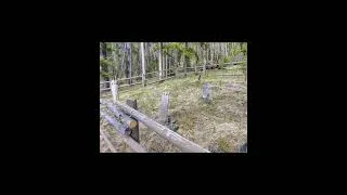 Thumbnail: Beaverhead- deerlodge National Forest