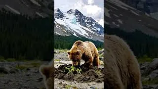 Thumbnail: Grizzly bear in Glacier National Park AI Generated