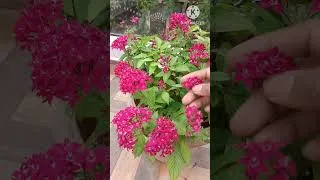 Thumbnail: Life changing tips for women/How to keep mind joyful/Happy life tips/#shorts