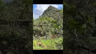 Thumbnail: Lost Pyramid Discovered!