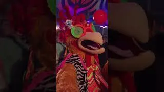 Thumbnail: Even Birdie couldn’t keep up with Elrow’s confetti storm! 🌈🔥