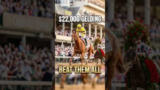 Thumbnail: No Horse From His Home State Has Ever Done This Again