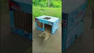 Thumbnail: Creative Unique Quick Bird Trap Using Vital Cardboard Box & Wood #shorts