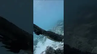 Thumbnail: Amazing places 27 🌍😱