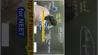 Thumbnail: Morphology of Flowering Plants Class 11 One Shot