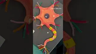 Thumbnail: Biology project Neuron Model with Cardboard Easy Science Project #shortsfeed Nakul Sahu Art