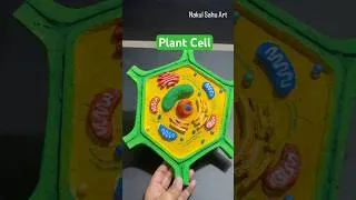 Thumbnail: Plant Cell Model Using Cardboard | Easy Science Project for School 🌿#shortsfeed Nakul Sahu Art