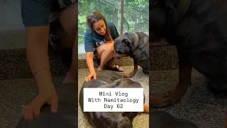 Thumbnail: Mini Vlog 62: Bubzee Ko Kiya Baddie Ke Saamne Pyaar #shorts #dogs #youtubeshorts #namitaology