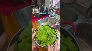 Thumbnail: Mustard greens