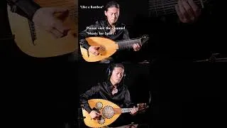 Thumbnail: Japanese Artist Plays Music for Resilience on Baroque Lute - Nao Sogabe
