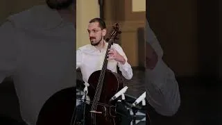 Thumbnail: TEASER #24 Vivaldi: Largo (RV 806) — Nari Baroque Ensemble | Live at FEL!X Festival 2025