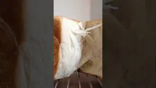 Thumbnail: Japanese bread is unbelievably soft! 🤍 (full video linked ) #japanesebread #milkbread #shorts