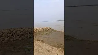Thumbnail: #Flood #JDW #shorts #Nabishah @nasirtechnicalpk9665