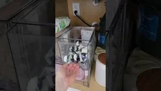 Thumbnail: Before&After | Under Kitchen Sink Organization #organizewithme #kitchenorganization