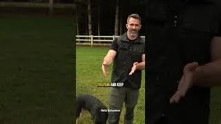 Thumbnail: The "PEZ Dispenser" Trick for Faster Dog Training! (Food Handling Basics)