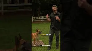 Thumbnail: Master Forward Luring & Assisted Shaping! #DogTraining #NateSchoemer #dogbehavior