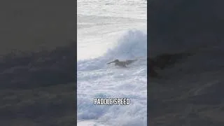 Thumbnail: How much paddle u have in the tank
