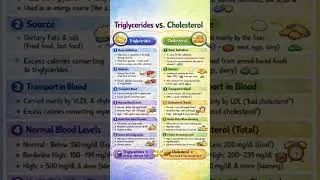 Thumbnail: Triglycerides vs Cholesterol 🧬Both are fats, but roles are different—Triglycerides store energy ⚡