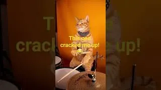 Thumbnail: This cat got style! #livinglavidaloca #cute #cat #drums