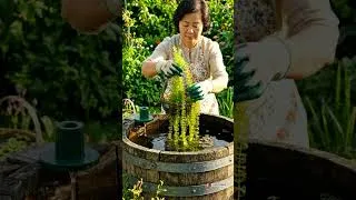 Thumbnail: Wine Barrel Garden Pond DIY Tutorial #smallgarden