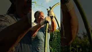 Thumbnail: DIY Bamboo Garden Arch Tutorial 🎋✨ #garden #diy