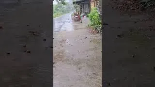 Thumbnail: Heavy Rain to Help You Sleep Fast #naturesounds #relax #relaxingrain