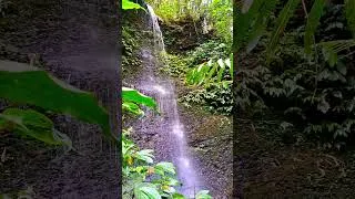 Thumbnail: 4K!!BEAUTIFUL WATERFALL SOUNDS/UNIQUE WATERFALL IN DEEP MOUNTAIN FOREST 🫨