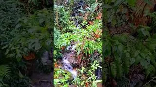 Thumbnail: Amazing Waterfall In Mountain Forest 4K /Forest Sounds /Relaxing Nature Sound.
