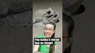 Thumbnail: Frog Love Island
