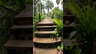 Thumbnail: Escape with Nature. #seychelles #travel #island