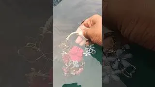 Thumbnail: #shorts#trending shorts#viral hack#tips and tricks#viral shorts