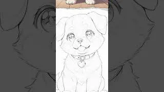 Thumbnail: my dog  #cute