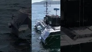 Thumbnail: Pioneer USV conducts long-endurance maritime surveillance trials