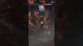 Thumbnail: Golden Tarantula in Space