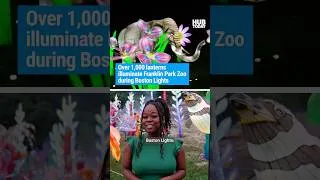Thumbnail: Over 1,000 lanterns illuminate Franklin Park Zoo during Boston Lights