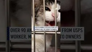 Thumbnail: Over 90 animals rescued from USPS worker, most returned to owners