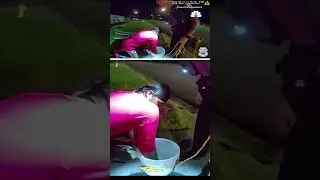 Thumbnail: Cheese in bucket lures little dog in storm drain to safety