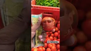 Thumbnail: Aapke Yaha pe Tamatar ka kya Rate hai ? #tamatarrate