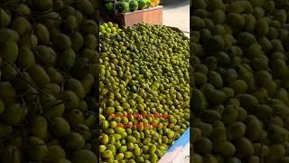 Thumbnail: Summer begins…Mango season begins too…