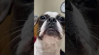 Thumbnail: ADAM CAM ADAM CAM