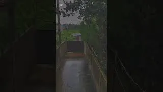 Thumbnail: তুমার মনের গতি রাতের দূর পাল্লার গাড়ি #song