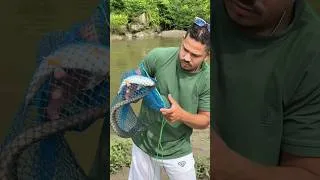 Thumbnail: राजाबाम र कत्ले माछा