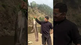 Thumbnail: Catfish Fishing 🎣 🎣 (मंगुर ) #anglerfishes #fishing #fish  #fishingvideo #nature #river #fishinglife