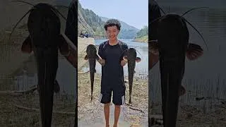 Thumbnail: Catfish at Kulekhani