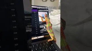 Thumbnail: He’s convinced this is his office