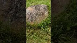 Thumbnail: Radioactive Rock in the Neighborhood