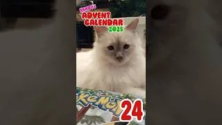 Thumbnail: Nerdys Advent Calendar 2025 24