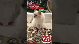 Thumbnail: Nerdys Advent Calendar 2025 23