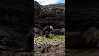 Thumbnail: صيد فطور الصباح من البحر 🌊